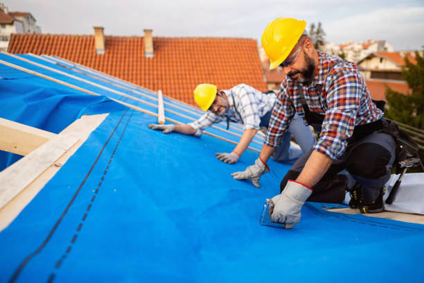 Best Sheet Metal Roofing  in La Harpe, IL